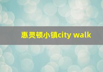 惠灵顿小镇city walk